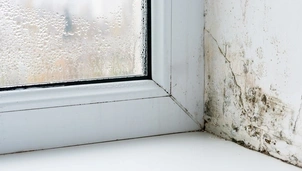 A wall next to the window with damp and mould