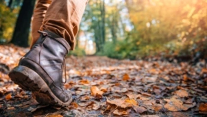 Person walking on dried leaves