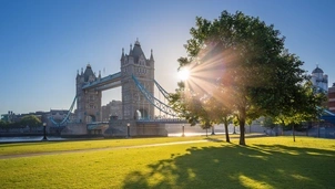 Tower Bridge in London, with the sun shining through a tree in the foreground