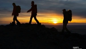 Walkers at night 