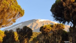 View of Mount Kilimanjaro 