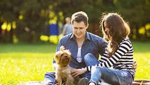 Couple sitting with a dog in a park